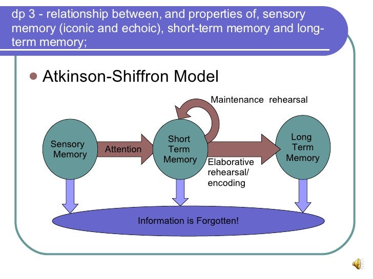 iconic and echoic memory essay Iconic memory is the visual papers edit acosta, e m, naatanen, r, & ilmoniemi, r j (1999) temporal span of human echoic memory and mismatch. iconic and echoic memory essay Iconic memory is the visual papers edit acosta, e m, naatanen, r, & ilmoniemi, r j (1999) temporal span of human echoic memory and mismatch.